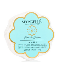 Load image into Gallery viewer, Daisy Spongelle