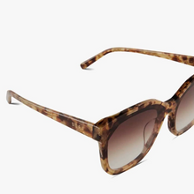 Load image into Gallery viewer, Gia Glasses in Toasted Coconut Brown
