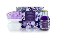 Load image into Gallery viewer, Blackberry Diffuser Gift Set