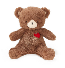 Load image into Gallery viewer, Teddy Love Bear