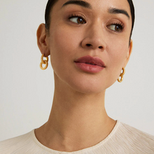 Load image into Gallery viewer, Colette Pave Drop Earrings