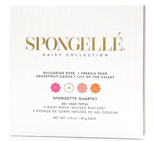 Load image into Gallery viewer, Spongelle Quartet Set 1