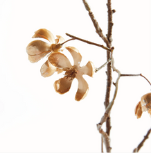 Load image into Gallery viewer, Gold Cherry Blossom Spray