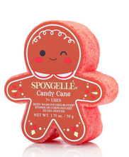 Load image into Gallery viewer, Gingerbread Spongelle