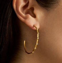 Load image into Gallery viewer, Sylvie Hoop Earrings