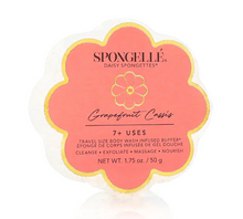 Load image into Gallery viewer, Daisy Spongelle