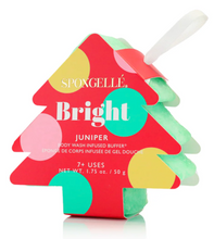 Load image into Gallery viewer, Spongelle Holiday Buffers