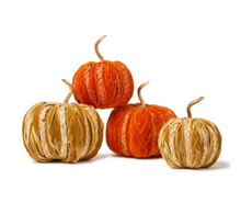 Load image into Gallery viewer, Braided Pumpkin Decor
