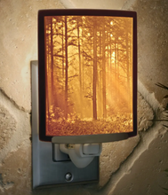 Load image into Gallery viewer, Porcelain Lithophane Nightlight