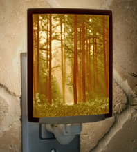 Load image into Gallery viewer, Colored Porcelain Lithophane Night Light