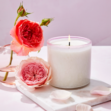 Load image into Gallery viewer, Lafco Candles 15.5 Oz