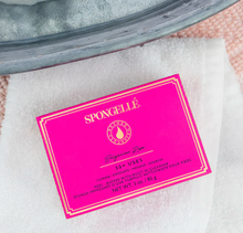 Load image into Gallery viewer, Spongelle Pedi Buffer