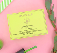 Load image into Gallery viewer, Spongelle Pedi Buffer