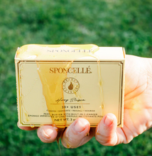 Load image into Gallery viewer, Spongelle Pedi Buffer