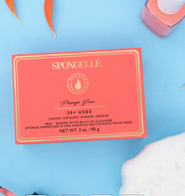 Load image into Gallery viewer, Spongelle Pedi Buffer