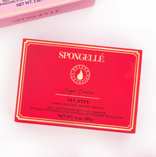 Load image into Gallery viewer, Spongelle Pedi Buffer