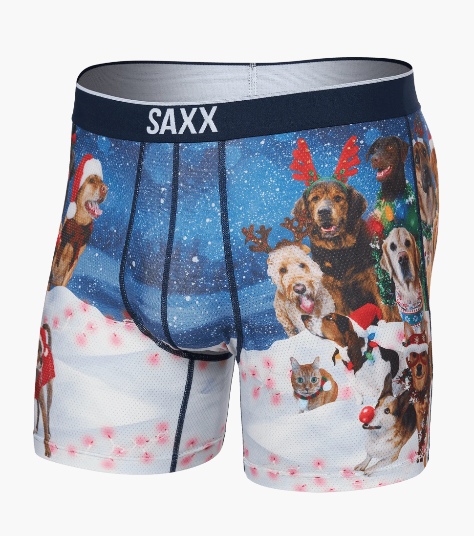 Volt Mesh Boxer Brief in Dogs of Saxxmas