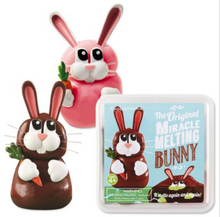 Load image into Gallery viewer, Melting Bunny
