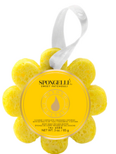 Load image into Gallery viewer, Wildflower Spongelle
