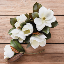 Load image into Gallery viewer, Magnolia Stem
