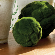 Load image into Gallery viewer, Mood Moss Orb 4&quot;
