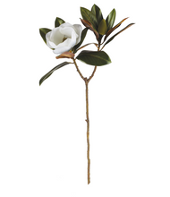 Load image into Gallery viewer, Magnolia Stem 31"
