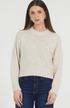 Load image into Gallery viewer, Sequin Front Pullover Sweater
