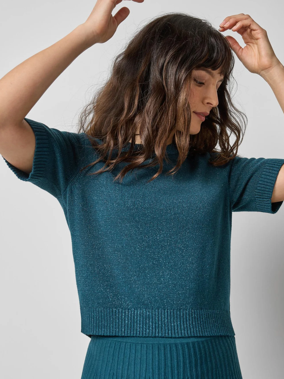 Short Sleeve Sparkle Sweater