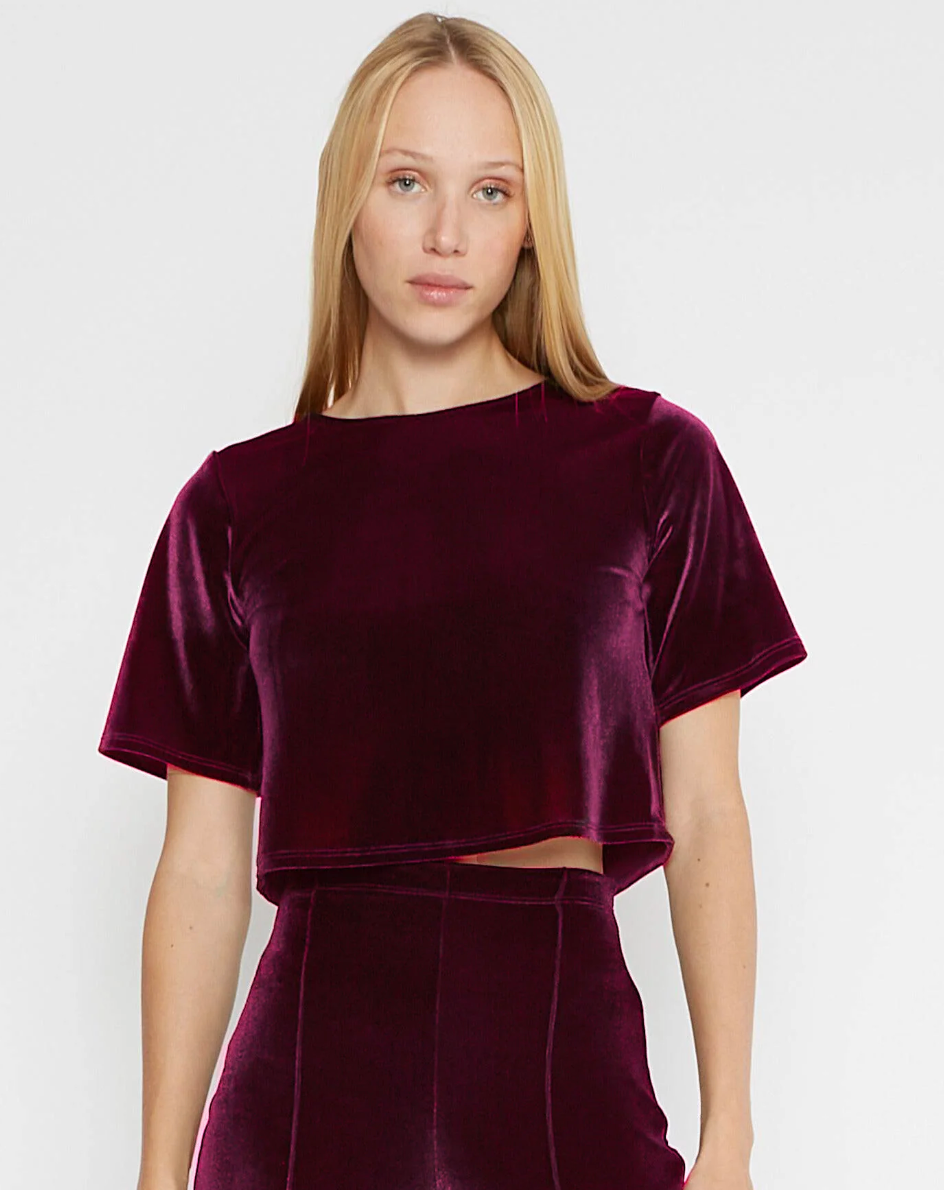 Merlot Velvet Short Sleeve Top