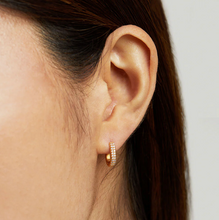 Load image into Gallery viewer, Petit Pave Huggies
