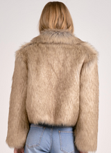 Load image into Gallery viewer, Cropped Faux Fur Jacket
