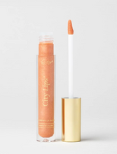 Load image into Gallery viewer, City Lips Plumping Gloss
