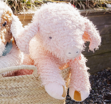 Load image into Gallery viewer, Big Hammie the Pig
