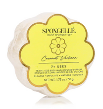 Load image into Gallery viewer, Daisy Spongelle
