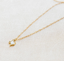 Load image into Gallery viewer, The Forever Texas Necklace
