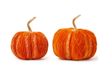 Load image into Gallery viewer, Braided Pumpkin Decor
