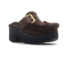 Load image into Gallery viewer, Plia Amber in Choco
