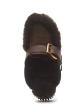 Load image into Gallery viewer, Plia Amber in Choco
