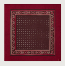 Load image into Gallery viewer, Wool Blend Border Scarf in Rumba Rose
