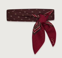 Load image into Gallery viewer, Wool Blend Border Scarf in Rumba Rose
