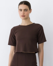 Load image into Gallery viewer, Ponte Knit Short Sleeve Top in Chocolate
