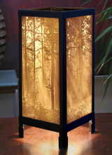 Load image into Gallery viewer, Porcelain Luminaire Lamp

