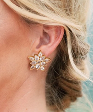 Load image into Gallery viewer, Heather Crystal Earrings
