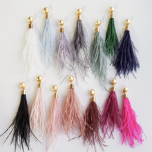 Load image into Gallery viewer, Feather Dome Post Earrings
