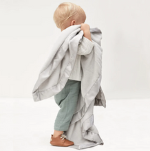 Load image into Gallery viewer, Gray Coral Fleece Baby Stroller Blanket
